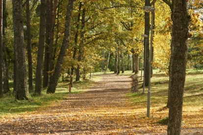 Foto "Kord kõndisin pargiteel"