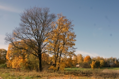 Foto "Sügisene Vaade"